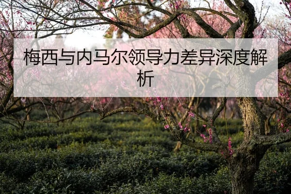 梅西与内马尔领导力差异深度解析